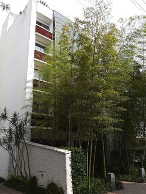 Image 5 - 887598