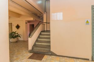 Image 18 - 818253