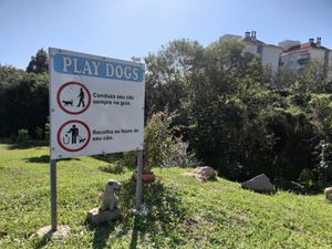 Image 6 - 13438
