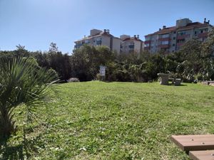 Image 7 - 13438