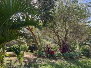 Image 10 - 13438