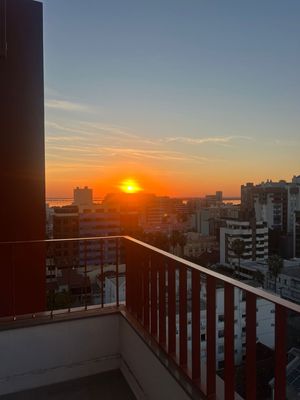 Image 9 - 929969