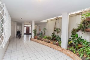 Image 36 - 886059