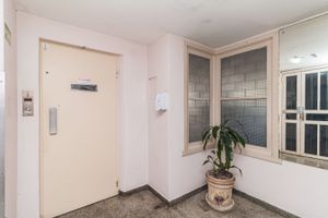 Image 14 - 204771