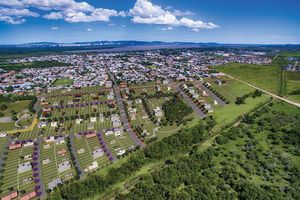 Image 9 - 223736