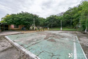 Image 21 - 308885
