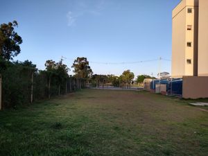 Image 3 - 14797