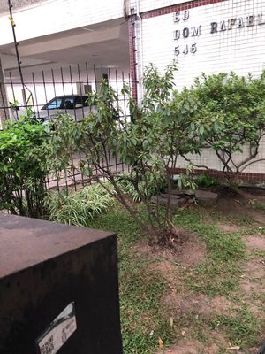 Image 8 - 216838