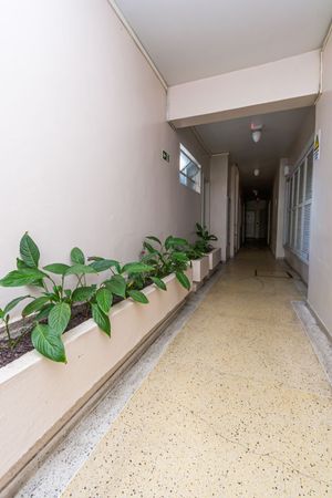 Image 17 - 306499