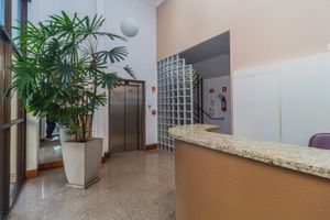 Image 31 - 897625