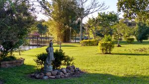 Image 18 - 223259