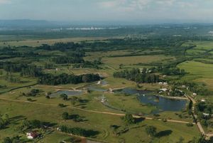 Image 20 - 223259