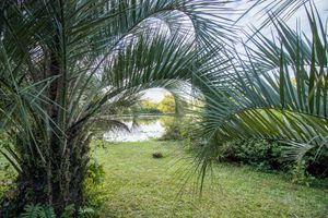 Image 11 - 17340