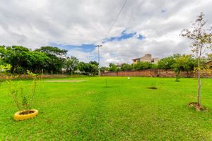 Image 63 - 845003