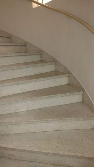 Image 36 - 554077