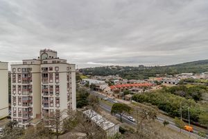Image 23 - 883957