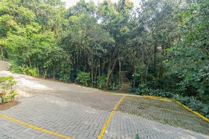 Image 49 - 251628