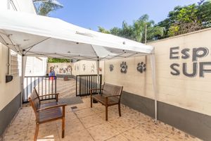 Image 17 - 332342