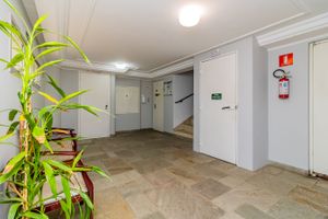 Image 27 - 317194
