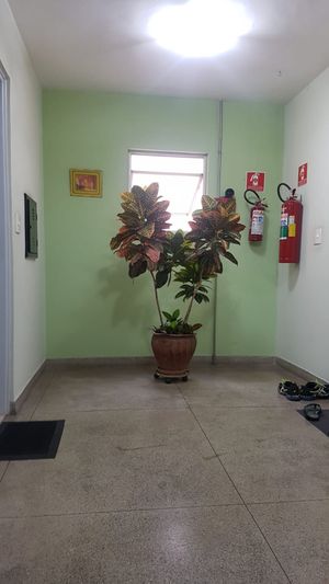 Image 3 - 20984