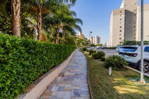 Image 83 - 703925