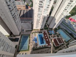 Image 42 - 381323