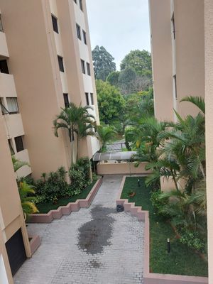 Image 15 - 326919