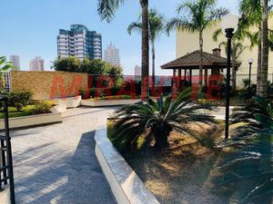 Image 26 - 22447