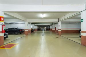 Image 151 - 318575