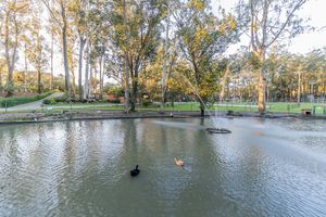 Image 83 - 288728