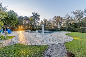 Image 97 - 288728