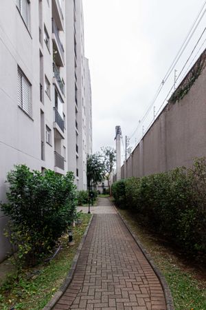 Image 43 - 926799
