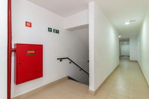 Image 49 - 872886