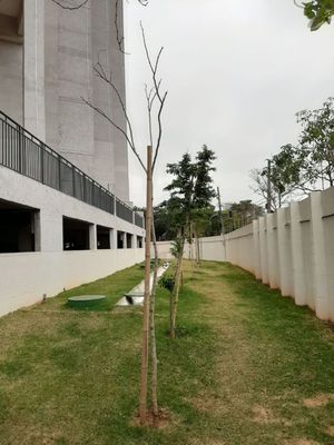 Image 35 - 24049