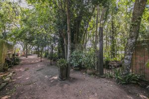 Image 61 - 289042
