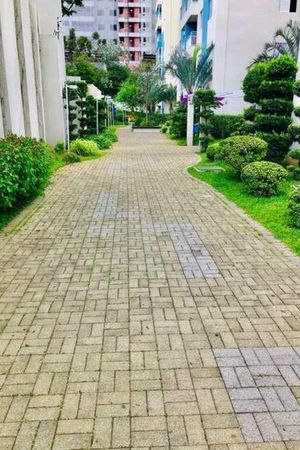 Image 58 - 335928
