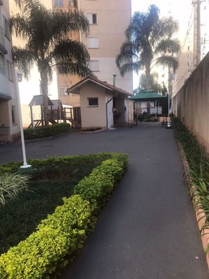 Image 12 - 24219