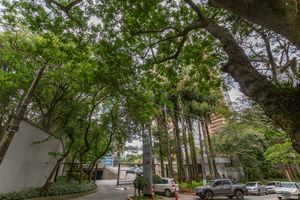 Image 87 - 331887