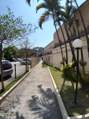 Image 4 - 24659
