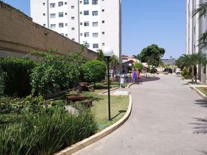 Image 16 - 24659