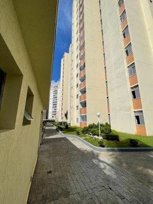 Image 8 - 25087