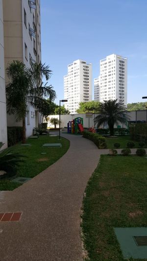 Image 39 - 872096