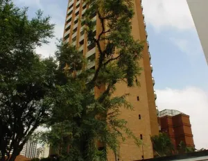 Image 32 - 457978