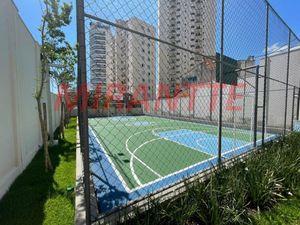 Image 13 - 734443