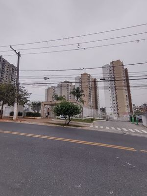 Image 21 - 26542