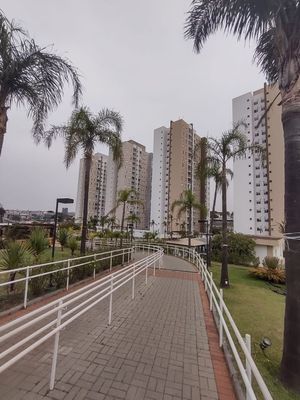 Image 24 - 26542