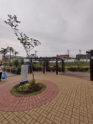 Image 4 - 26542