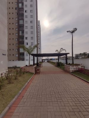 Image 11 - 26542