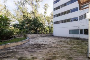 Image 39 - 877522