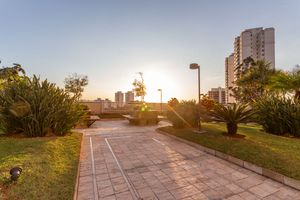 Image 49 - 333116